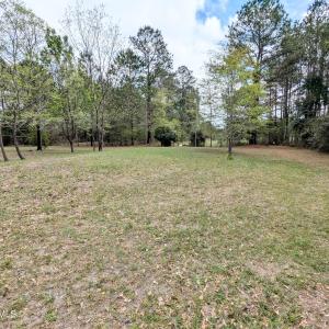 PXL_20250411_155030200