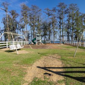 Spring Altered Photo