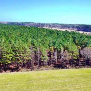 20240320170256993064000000-o