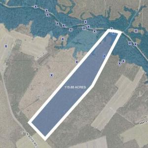 20240320171208612448000000-o