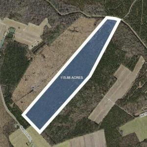 20240320171133972158000000-o