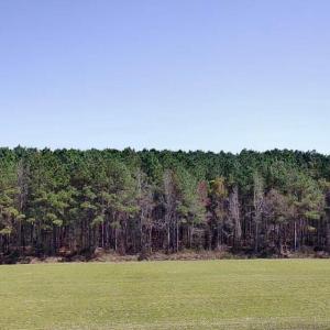 20240320171217928346000000-o