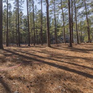 214 Meyer Farm Dr Ground_8