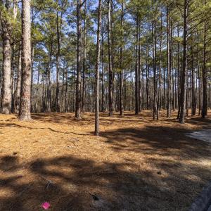 214 Meyer Farm Dr Ground_1