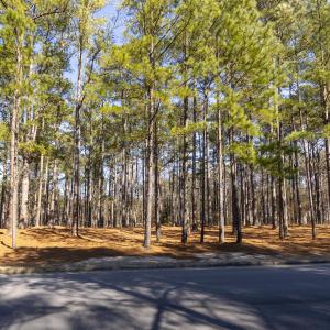 214 Meyer Farm Dr Ground