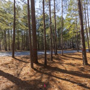 214 Meyer Farm Dr Ground_3