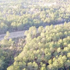 2025-12-24-16-07-38-067