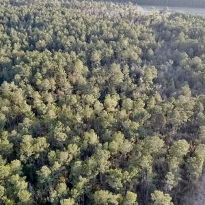 2025-12-24-16-08-10-658