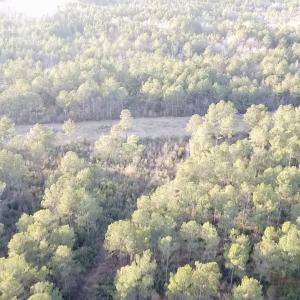 2025-12-24-16-07-35-967