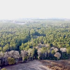 2025-12-24-16-06-55-315