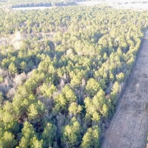 2025-12-24-16-08-42-470