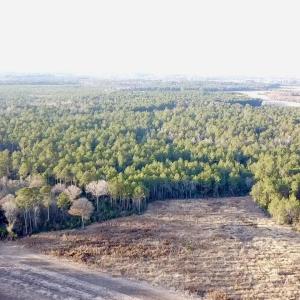 2025-12-24-16-06-51-636