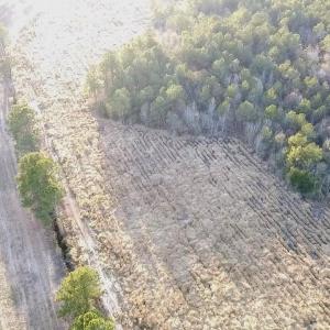 2025-12-24-16-13-00-784