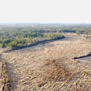 2025-12-24-16-05-37-873