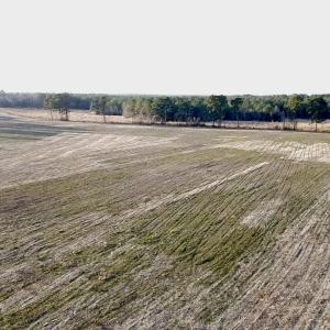 2025-12-24-16-03-56-638