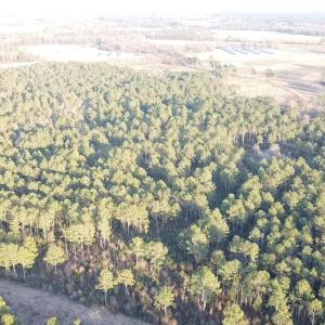 2025-12-24-16-09-24-204