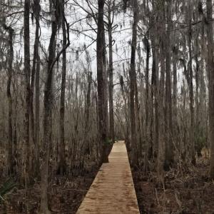 20260114_135749_resized