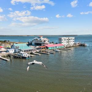 24-web-or-mls-DJI_0118