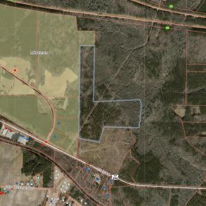 Screenshot 2026-02-09 8.07.41 PM