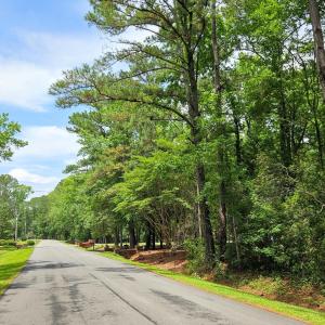 Sunfield with Lot on Right