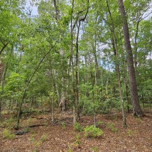 Near the Center of Homesite