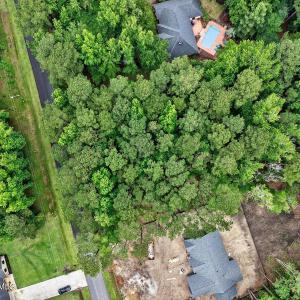 If you love Trees, you'll love it here