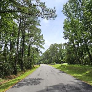 43 is on the Left, Magnificent