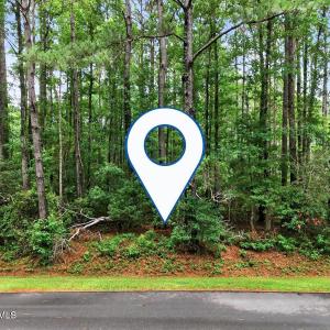 Beautiful Pines will enhance your Home