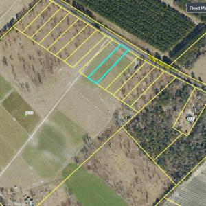 Screenshot 2026-02-04 at 11-02-41 Bladen