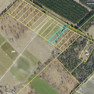 Screenshot 2026-02-04 at 11-02-23 Bladen