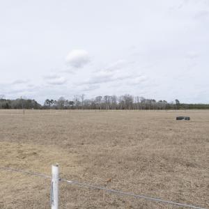 DSC00916