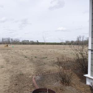 DSC00903