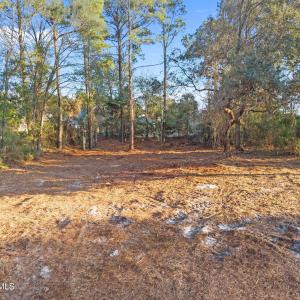 14-web-or-mls-DJI_20260206162413_0161_D