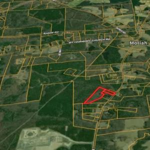 Screenshot_12-2-2026_01341_id.land