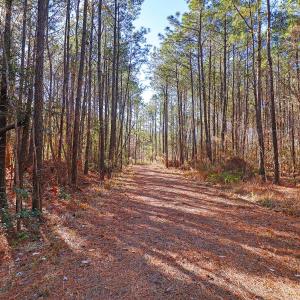 Partially Cleared Lot