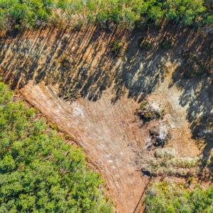 Large Morehead City Lot