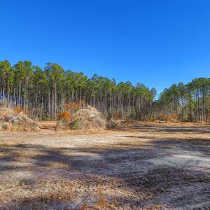 Partially Cleared Lot