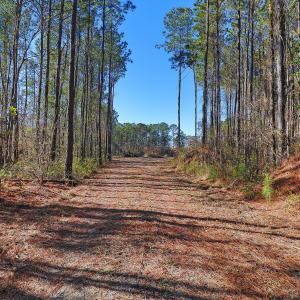 Partially Cleared Lot