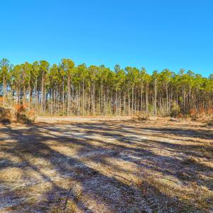 Partially Cleared Lot