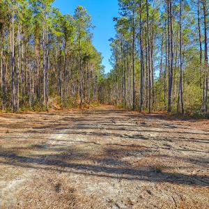 Partially Cleared Lot