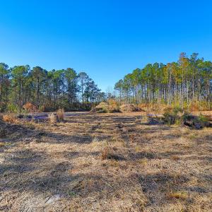Partially Cleared Lot