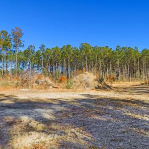 Partially Cleared Lot