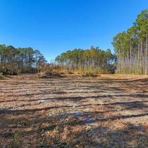Partially Cleared Lot