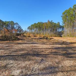 Partially Cleared Lot