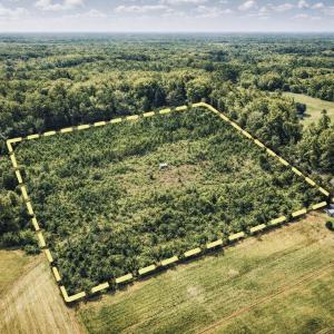 20 Acres - Aerial View