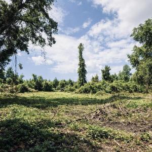 Planned Location for New Build