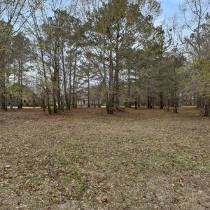 20241203194107949975000000-o