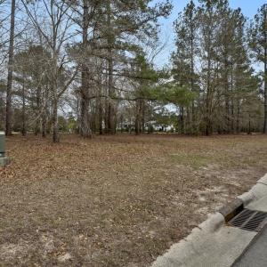 20241203194106977043000000-o