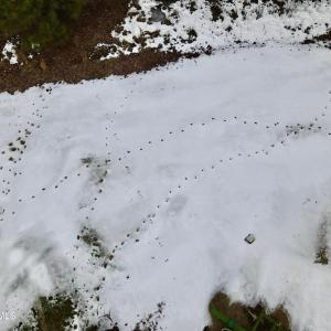 dji_fly_20260205_152612_43_1770323239763