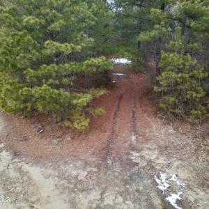 dji_fly_20260205_152624_45_1770323236848